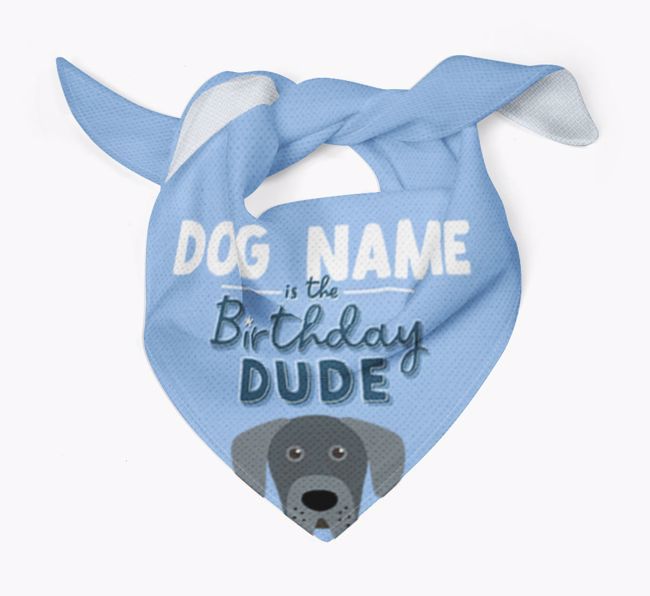 Birthday Dude: Personalised {breedFullName} Bandana